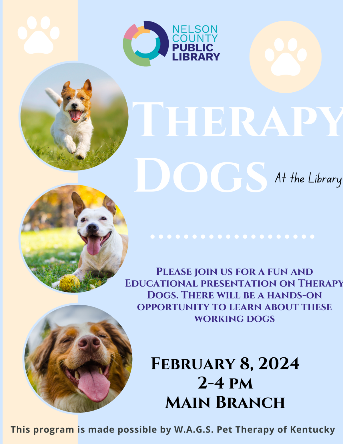 Therapy Dog